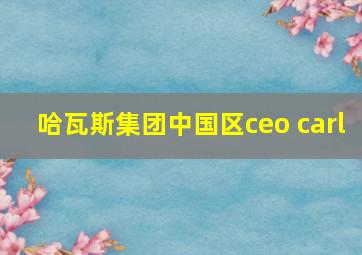 哈瓦斯集团中国区ceo carl